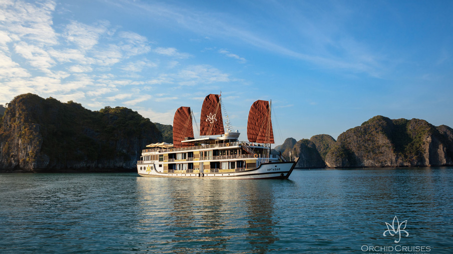 Orchid Classic Cruise (Discovering Lan Ha Bay)